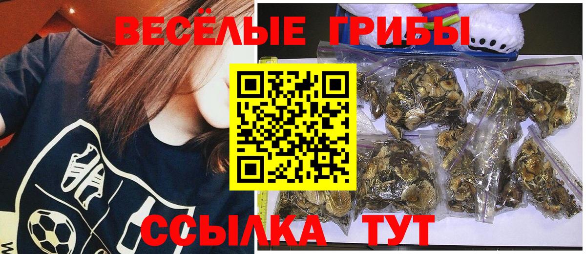 Галлюциногенные грибы Magic Shrooms  Абинск  Псилоцибиновые грибы Psilocybe 