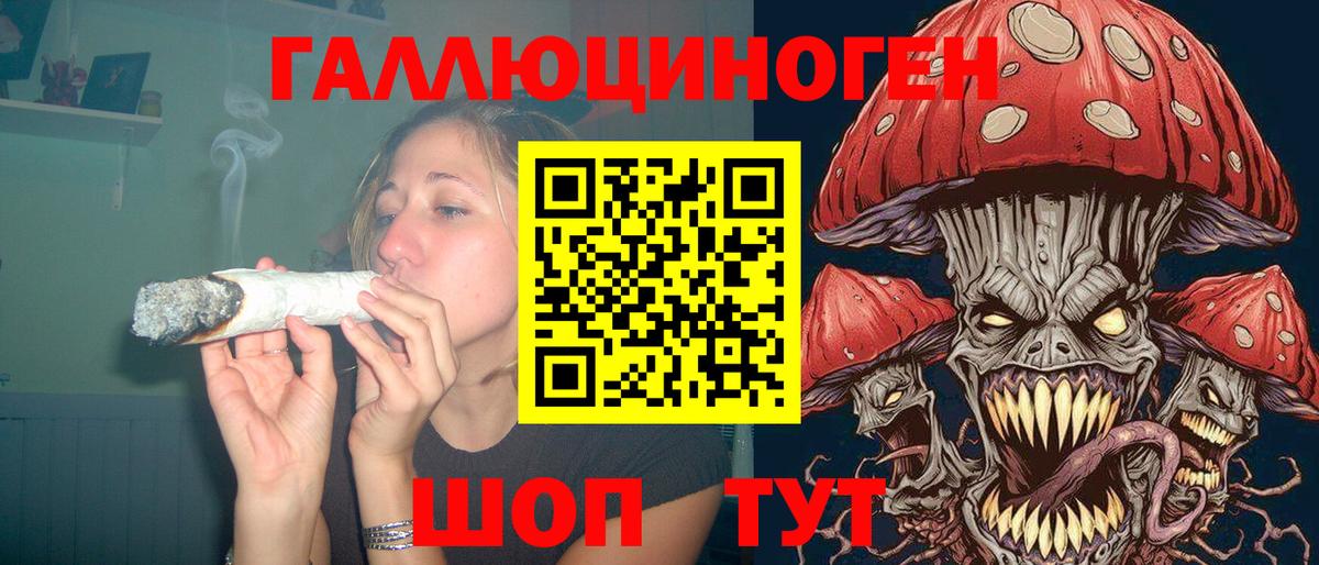 Галлюциногенные грибы прущие грибы Абинск