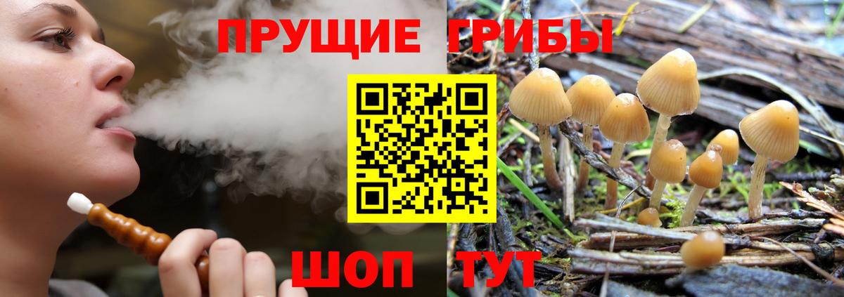 Абинск  купить наркотики цена  Псилоцибиновые грибы мухоморы  Вход с VPN  Псилоцибиновые грибы MAGIC MUSHROOMS 